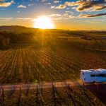 Esperance_C7932SL_SunsetVineyard