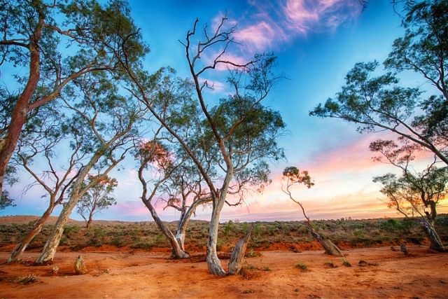 Spring in country Australia