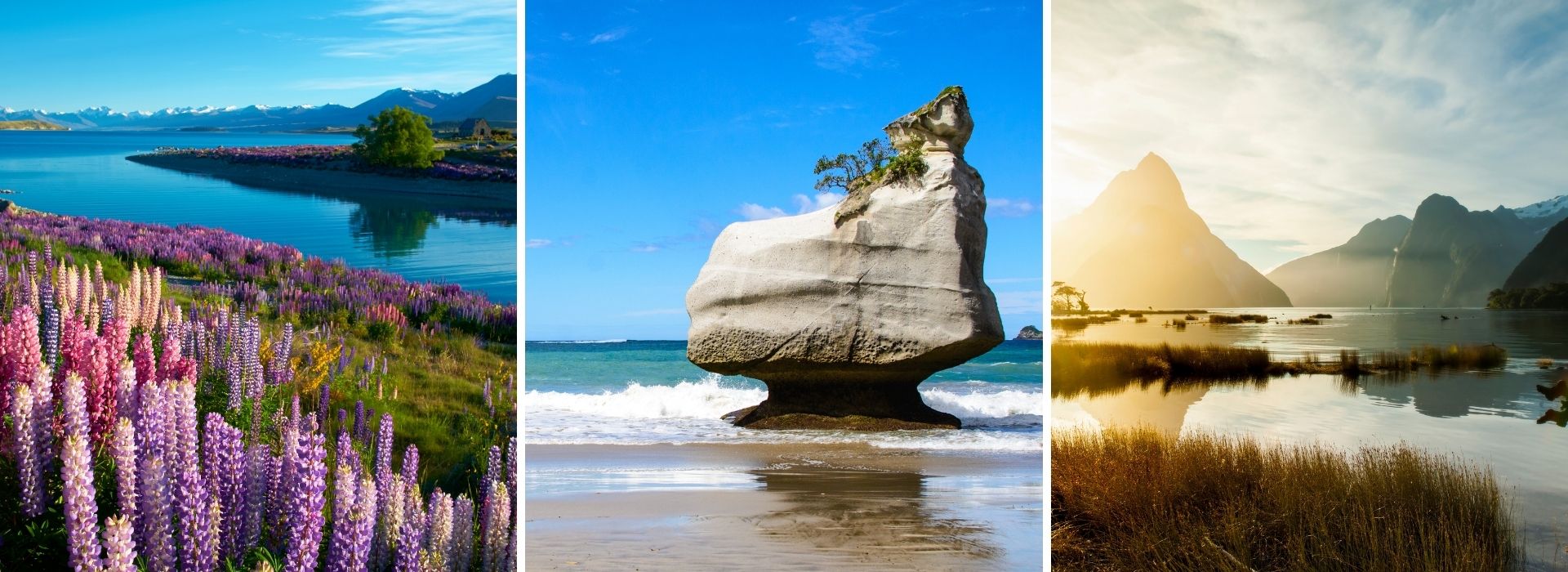 NZ