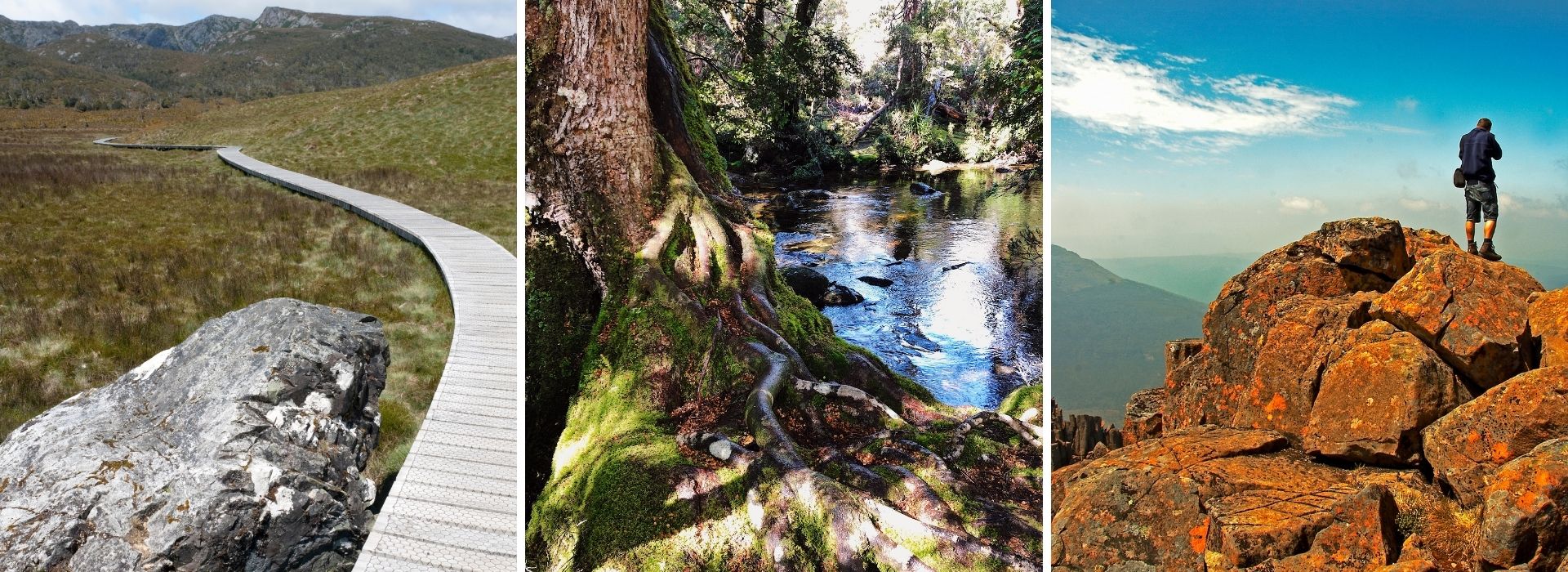 Cradle Mountainvvnews stories 1920×700 (2)