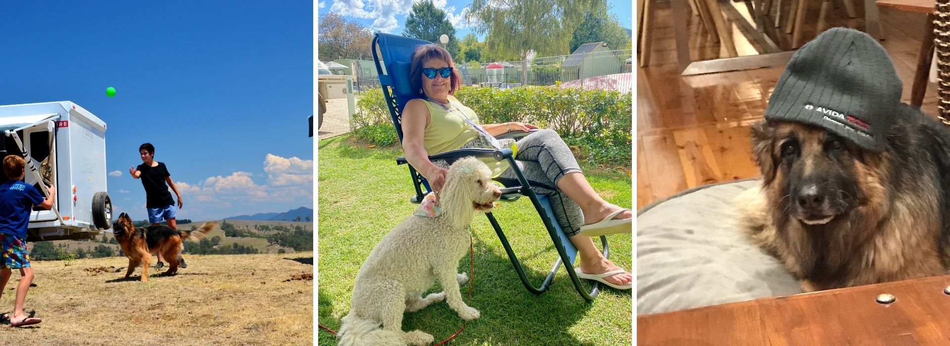 Dog Friendly parks 2
