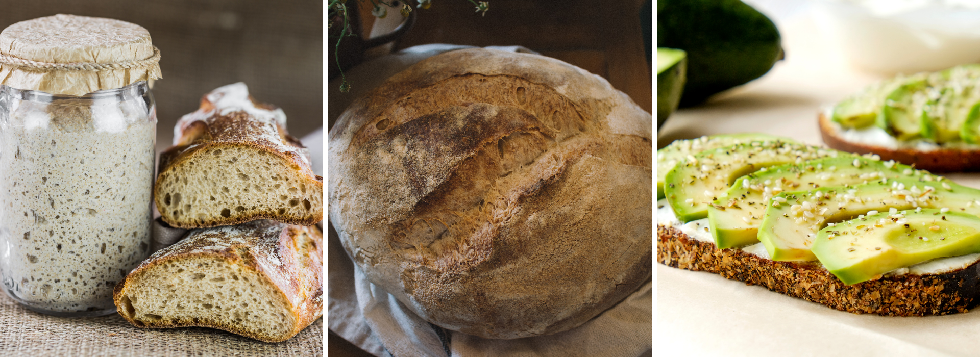 SourdoughBanner