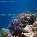 Avida Escape Testimonial