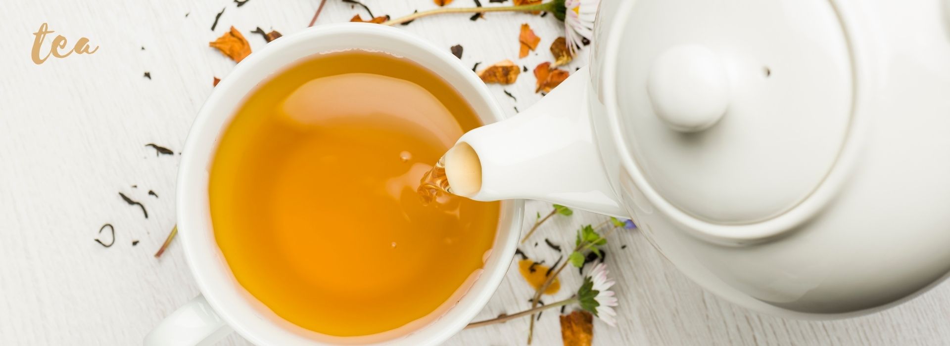 TeaLifeBanner